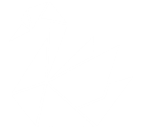Swann Technology Logo